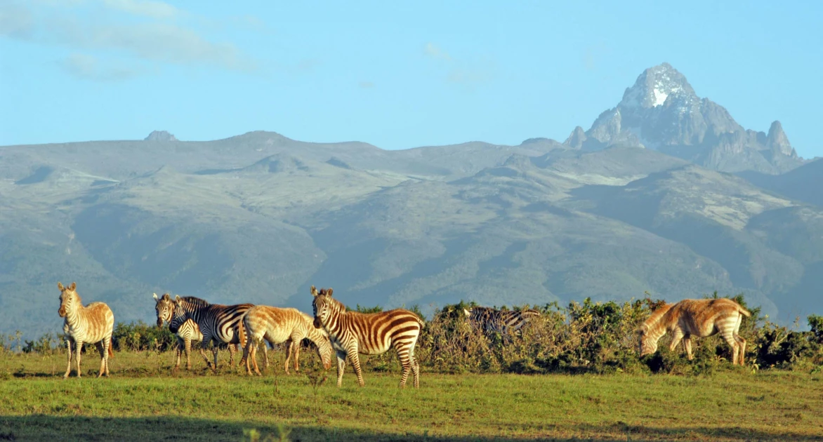 UNWTO pushes Africa to position itself as a driver of global tourism