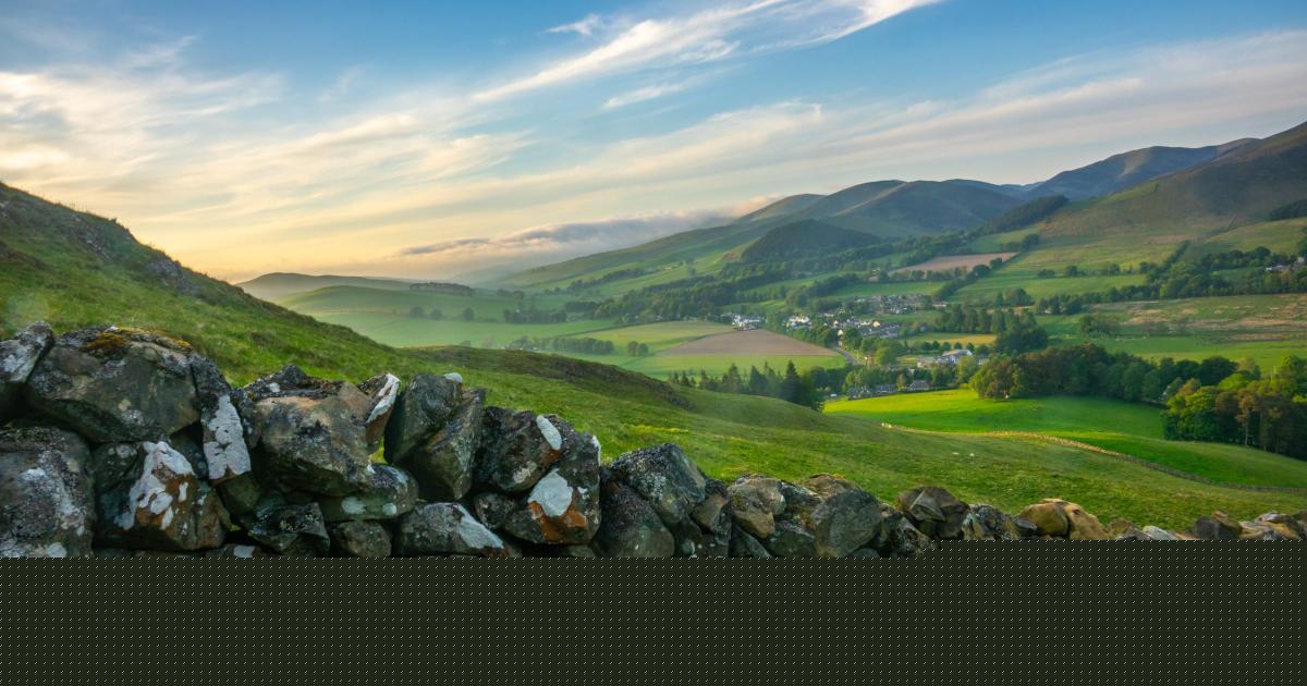 Resilience key as Scottish farmers face uncertain policy road to 2030