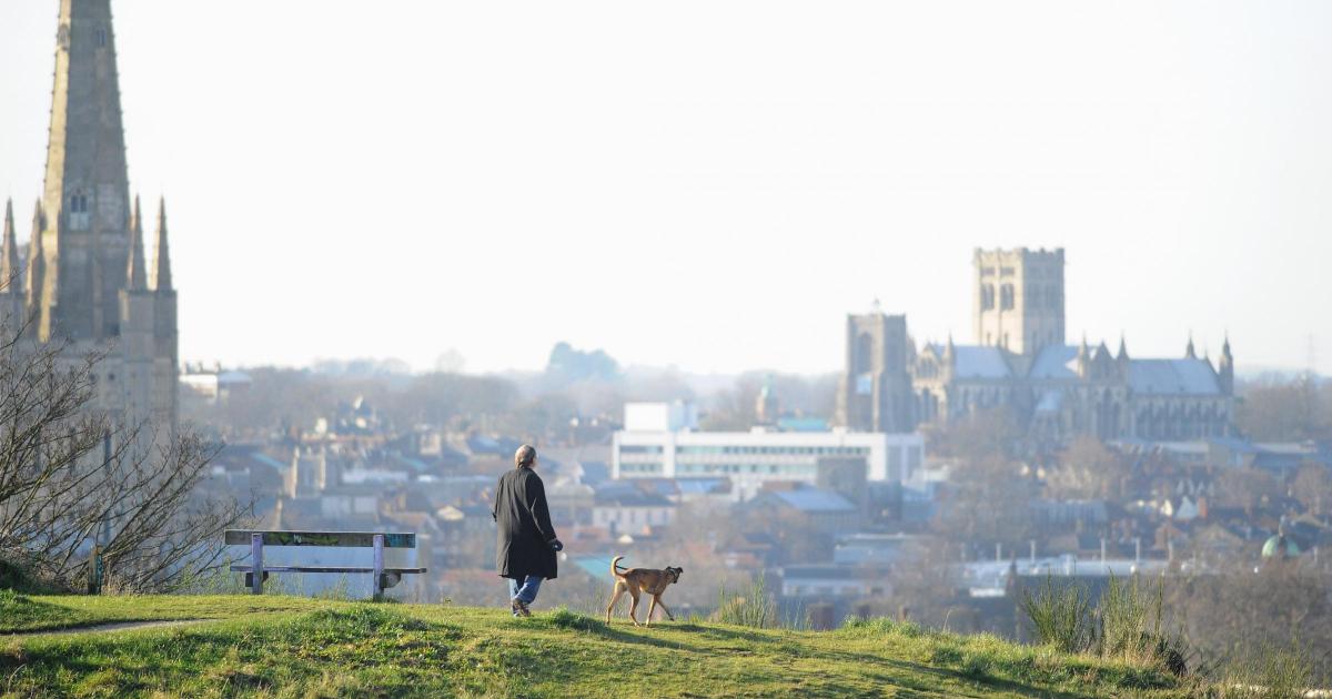 Wood burner ban for Norwich moves closer as councillors back the plans