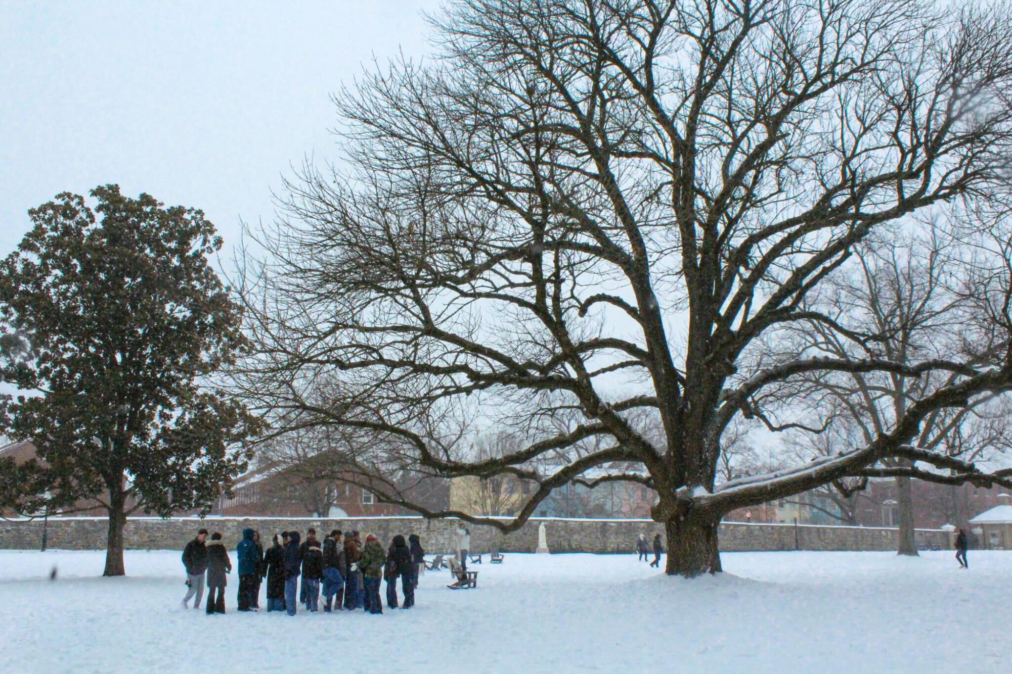 GU Moves Classes Online Following Winter Storm, Students Enjoy Snow Day