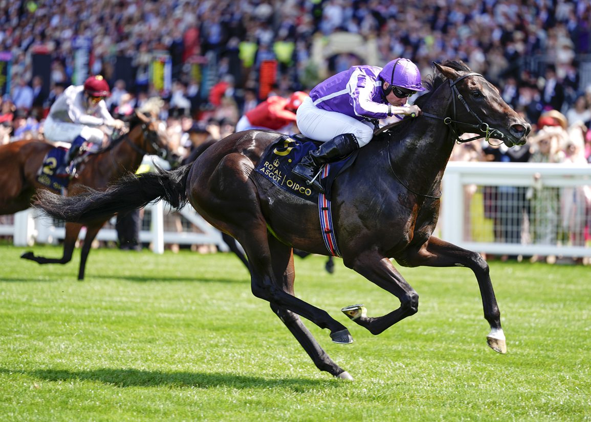 Gstaad To Miss Prix Jacques le Marois; Victorious Potentially Finished for the Season