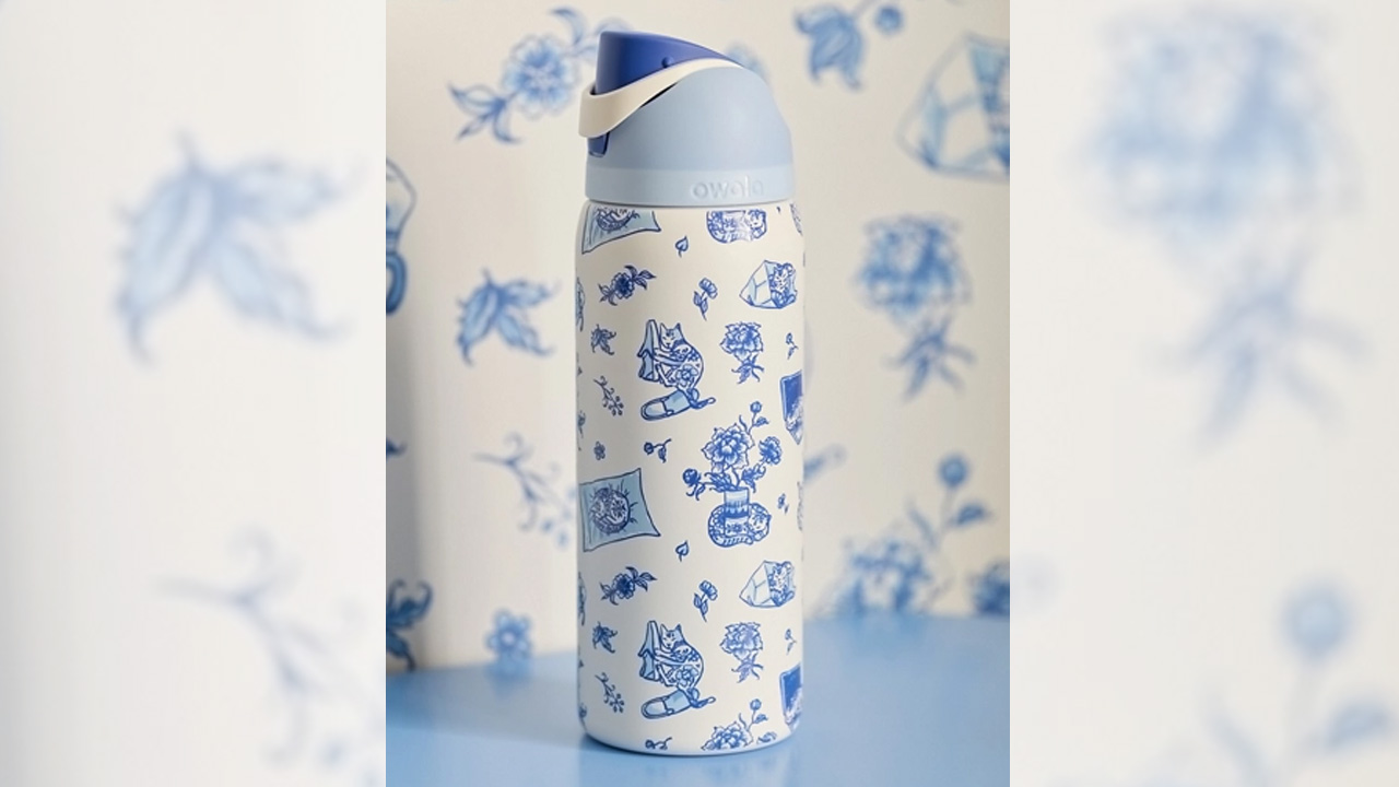 New Owala Water Bottle With Delft Cat Print Will Swoon Feline Lovers