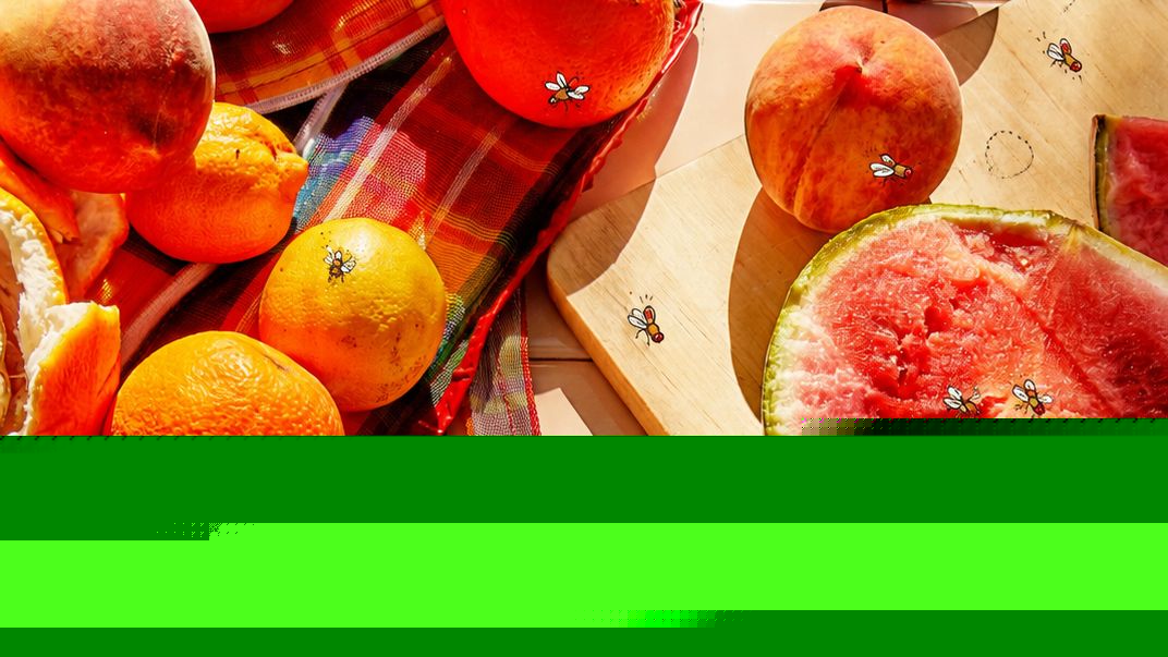 How to Get Rid of Fruit Flies, According to Our Testing
