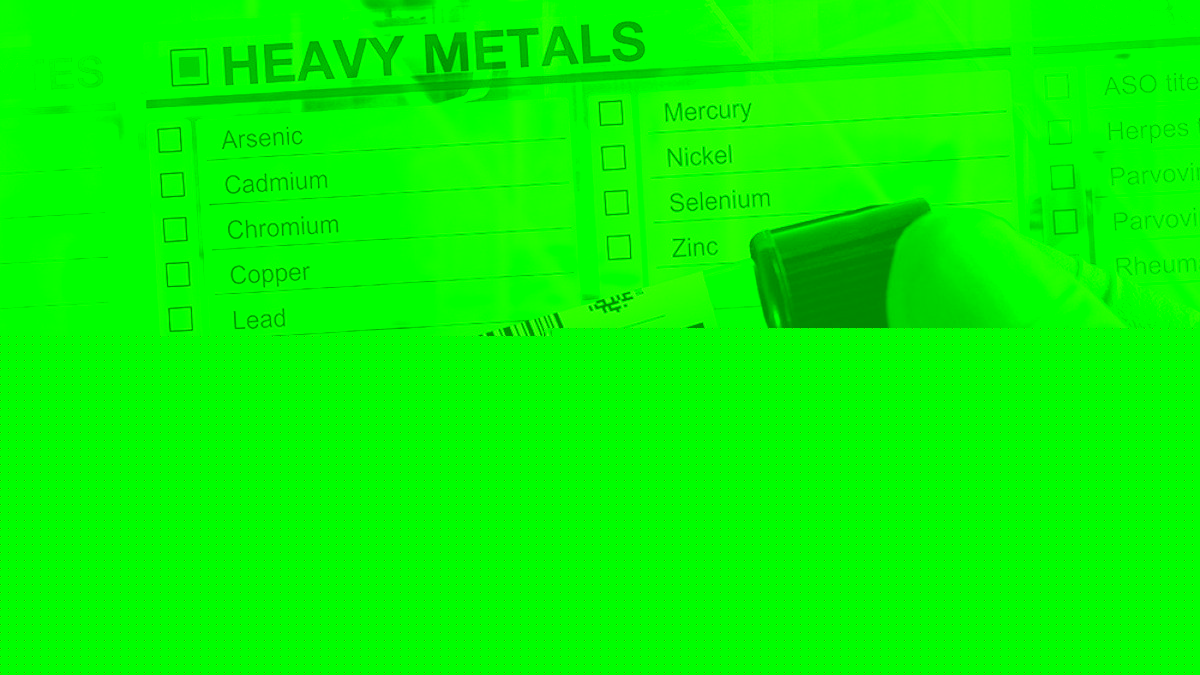 Does your body absorb heavy metals? Bioavailability explained