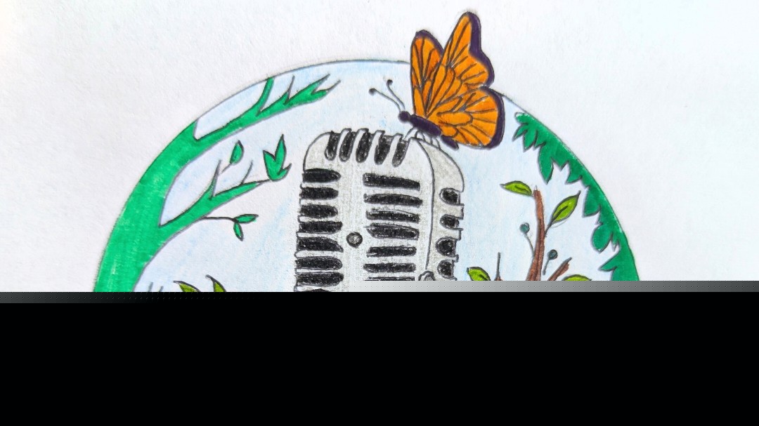 The Great Wide Open Mic