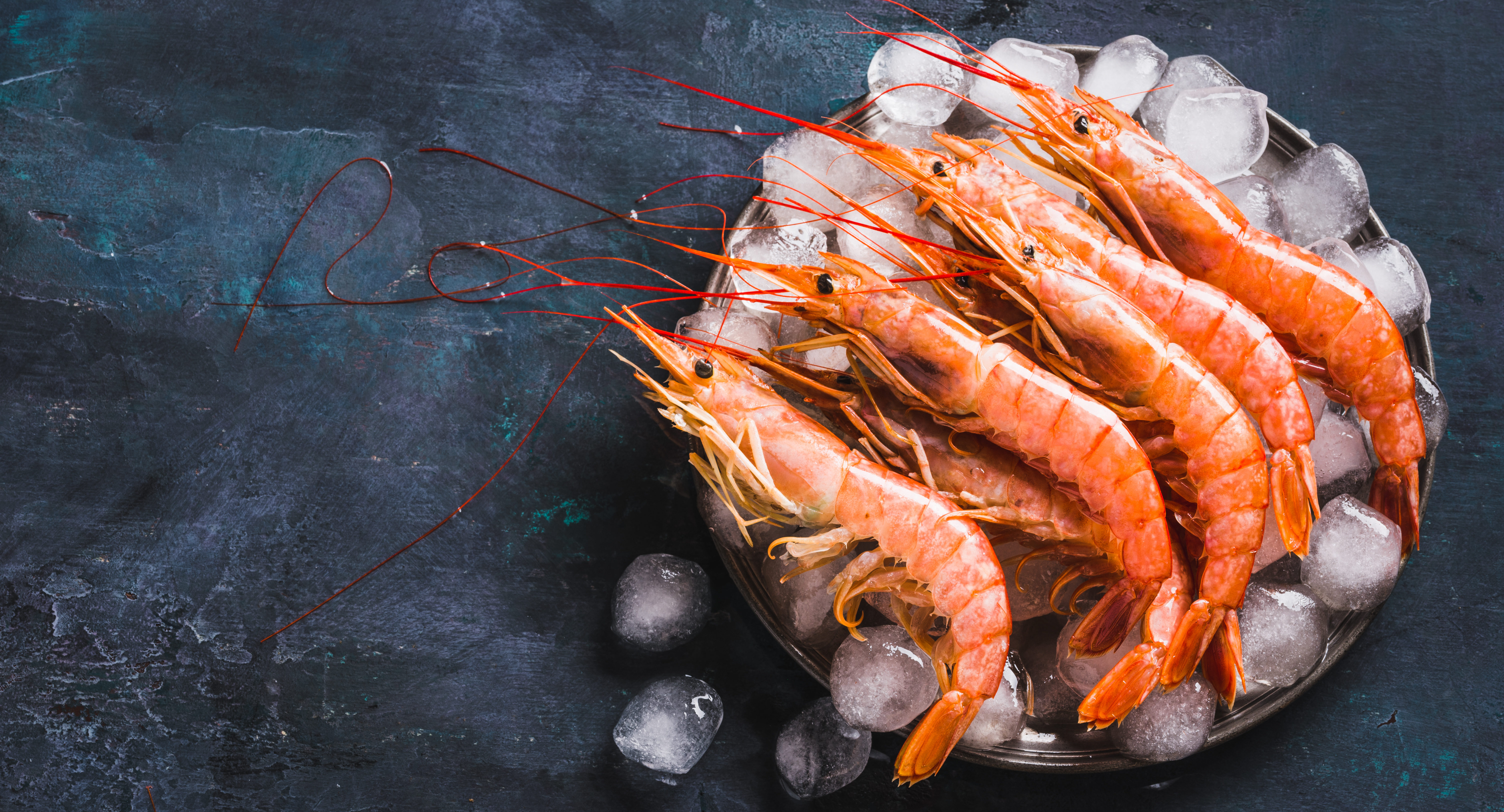 Argentina’s shrimp season faces lower catches, squid off to good start