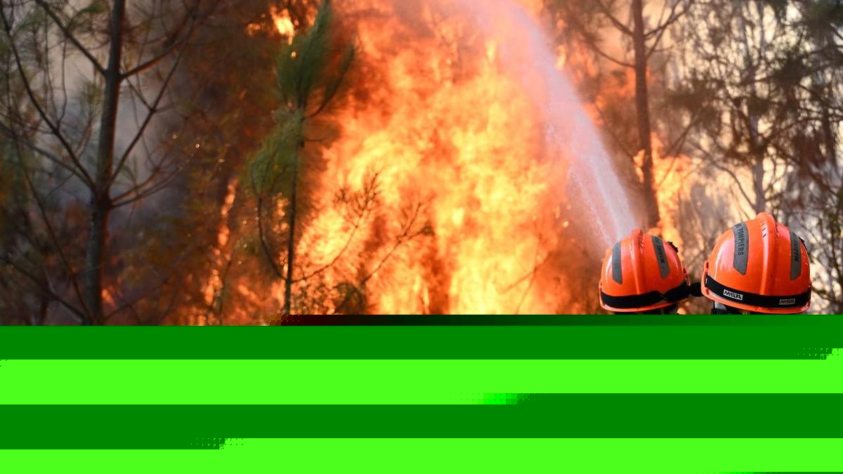 Three Greek firefighters die as European wildfires rage