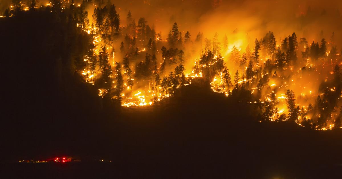 British Columbia declares state of emergency over wildfires as roughly 20,000 evacuate