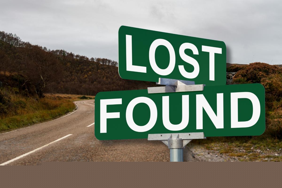 Washington Drivers Share Weirdest Roadside Sightings