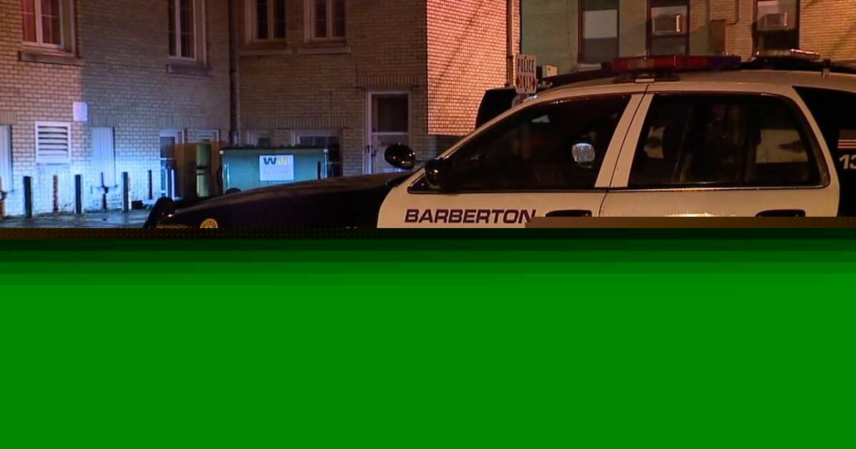 Man struck, killed by train in Barberton