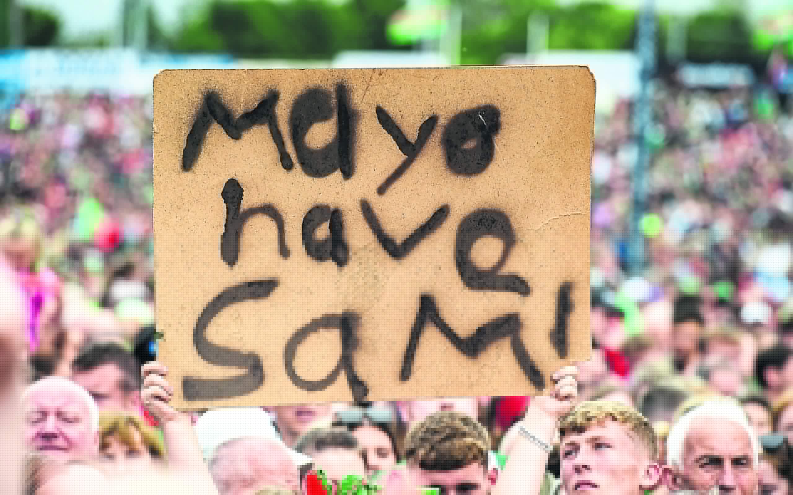 JOE BROLLY: What do we do now?