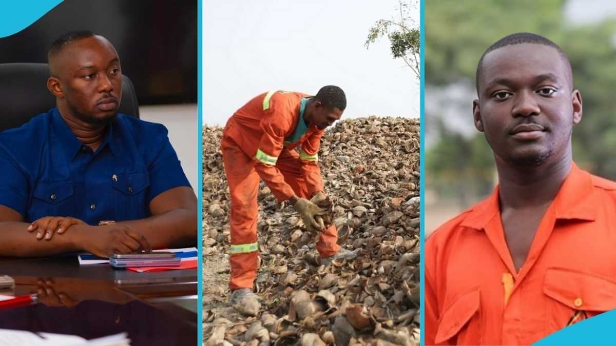 YEA launches major initiative with Zaacoal to provide thousands of jobs for Ghana’s youth