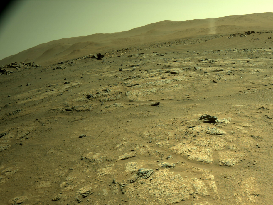 Mars dust is full of perchlorates, silica, and heavy metals