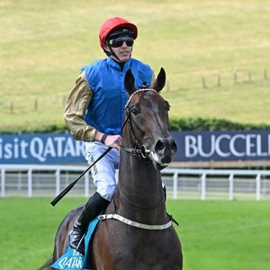 Rankings Race Trends: Day 4 at Goodwood