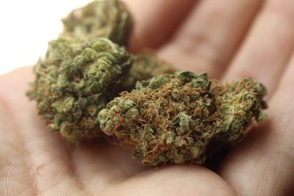 Philadelphia CBP Officers Bag $2.4 Million Weed Shipment Destined for UK