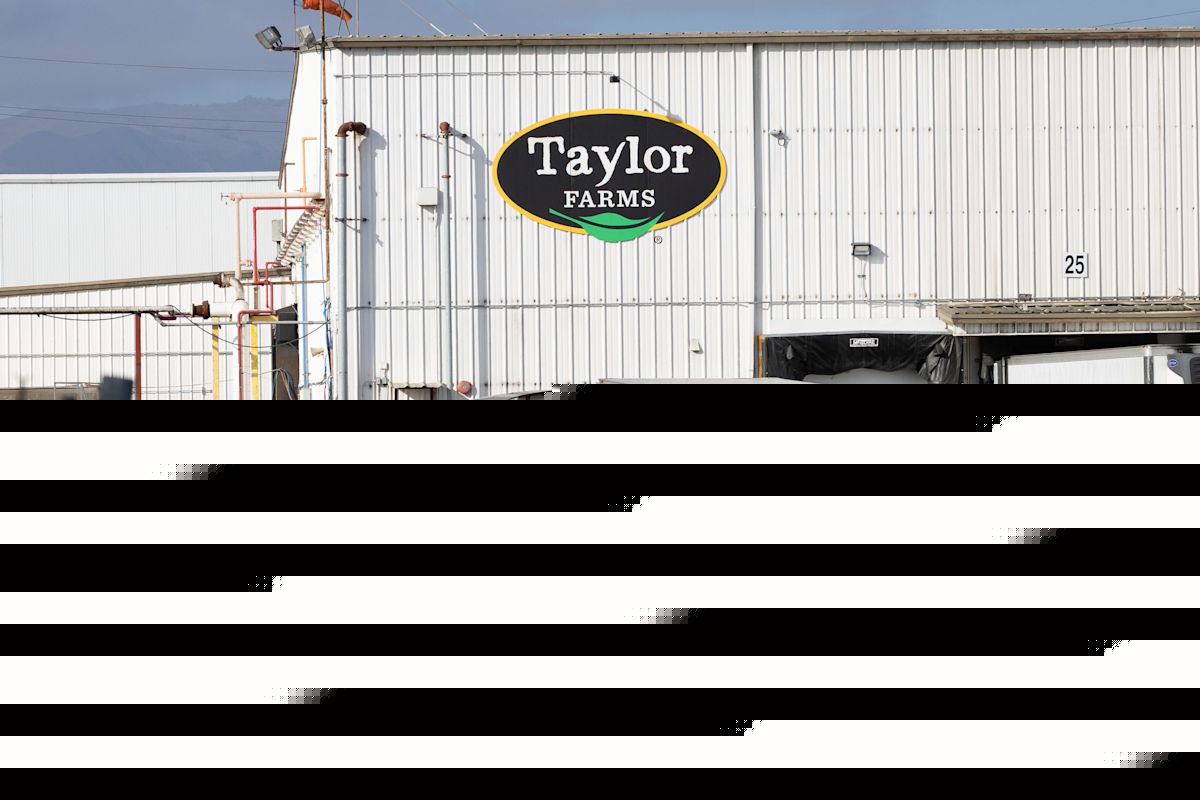 It's not just Taco Bell. Taylor Farms supplies lettuce to many US brands