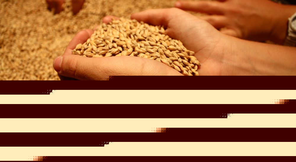 Comment on 14-Year-Old Pakistani Girl Given 2,645 Pounds Of Wheat For Getting Gangraped by สินค้ากิฟฟารีน