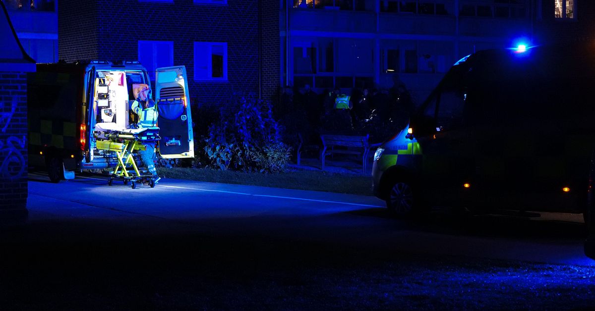 Man i 60-årsåldern död efter bråk vid skola i Malmö
