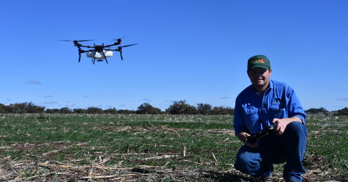 Eyes in the sky help drive efficiency and sustainability at Delungra farm