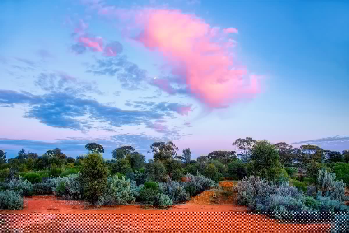 Emerald clears final hurdle at Dingo Range