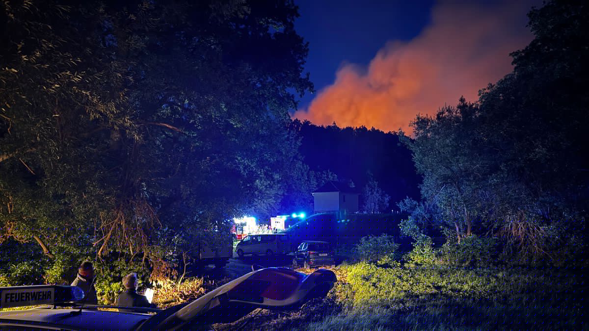 Wald-Brand bei Plauen in Sachsen: Feuerwehr muss zu Fuß anrücken