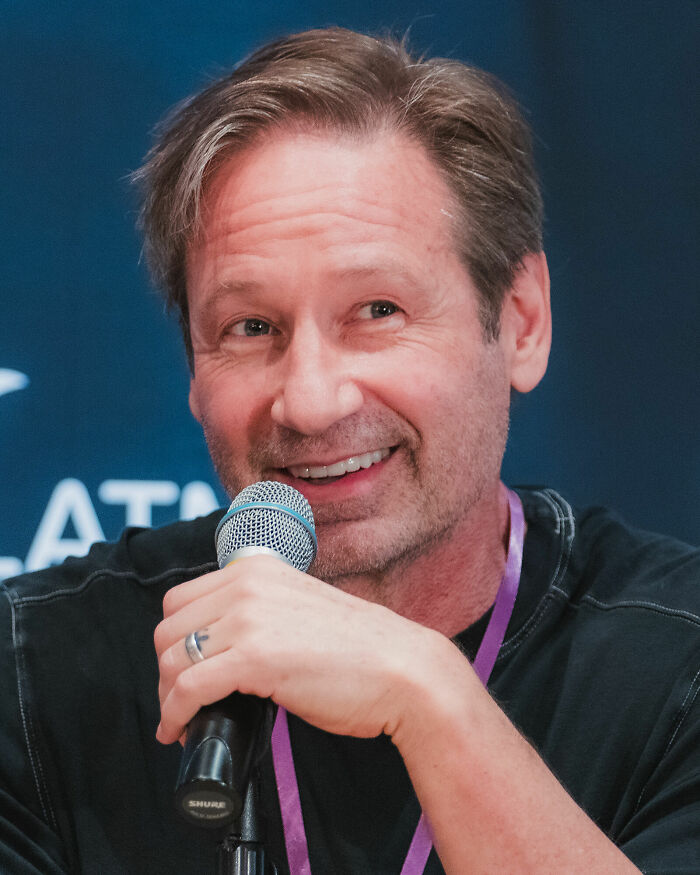 David Duchovny: Bio And Career Highlights