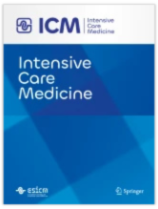 Comment on Medical journal publishes a letter on AI with a fake reference to itself by Warren Gallin