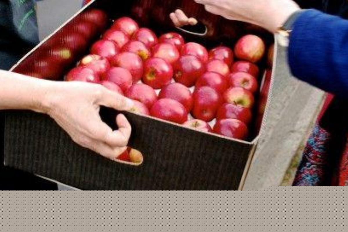 “Vuole una cassa di frutta e verdura gratis?”. Ecco la nuova truffa, ma un’operatrice sociale sventa il raggiro