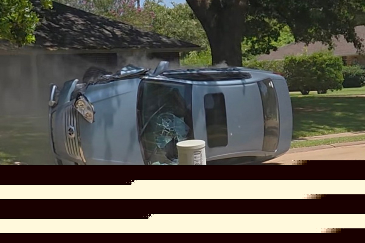 Quiet Neighborhood Walk Ends With Shocking Discovery