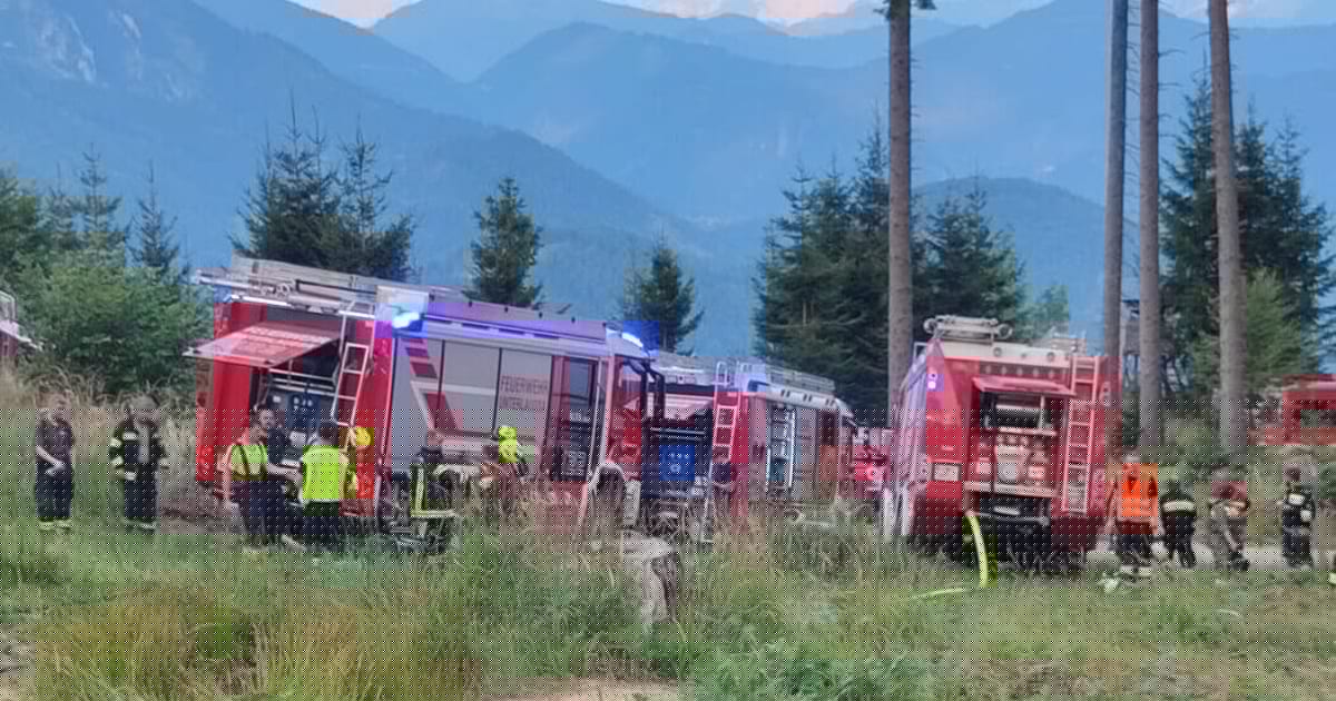 5000 Quadratmeter - Großeinsatz: Waldbrand wütet im Grenzgebiet