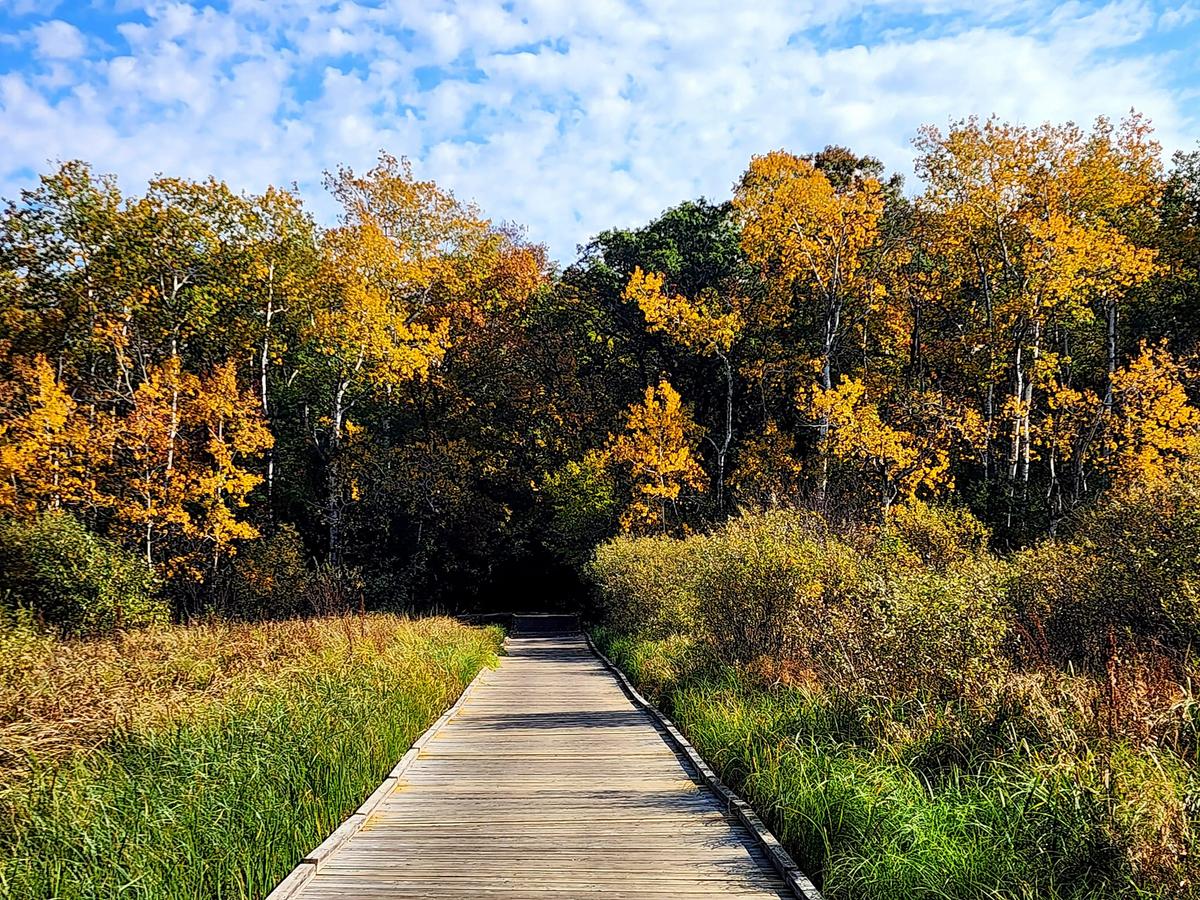 Fun Fall Things to do in the St. Cloud Area with Family