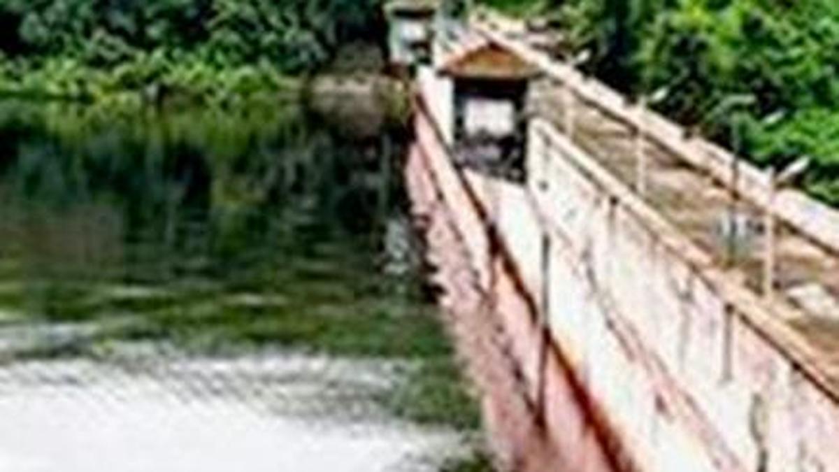 Mullaperiyar dam: Kerala reacts sharply to Tamil Nadu Budget announcement on raising water level