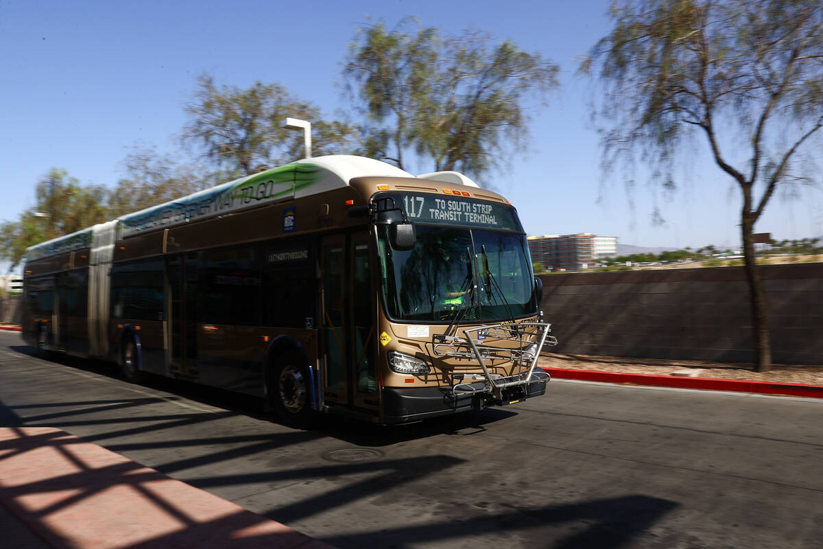 Family of girl, 7, fatally struck by bus sues RTC