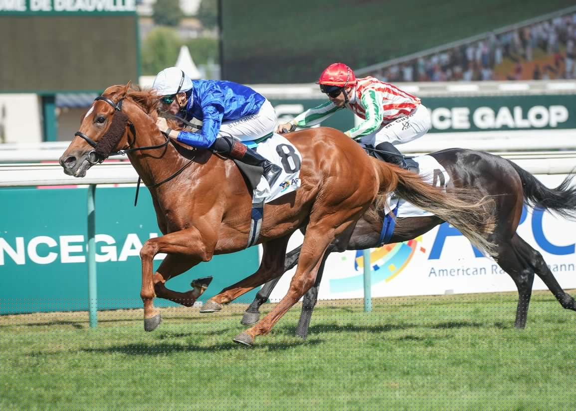 Winning Return For Distant Storm At Deauville