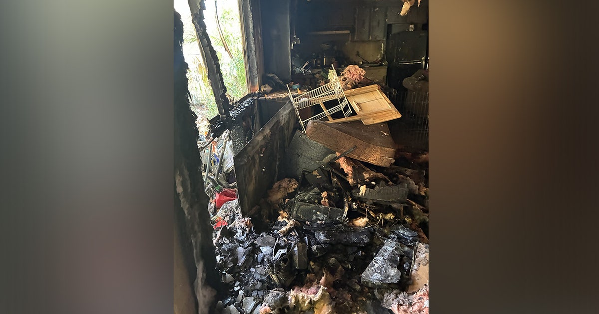Several animals found dead after house fire in Crystal River: CCFR