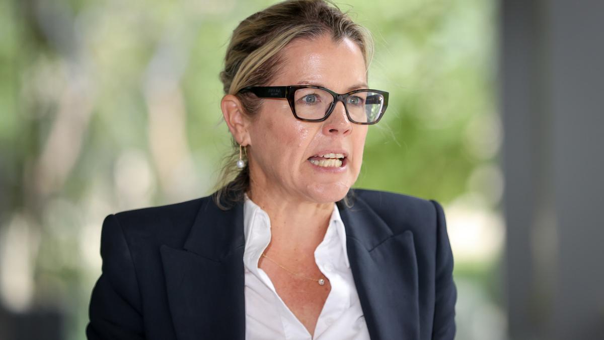 Shadow health minister labels South West mental health response team a ‘long time coming’