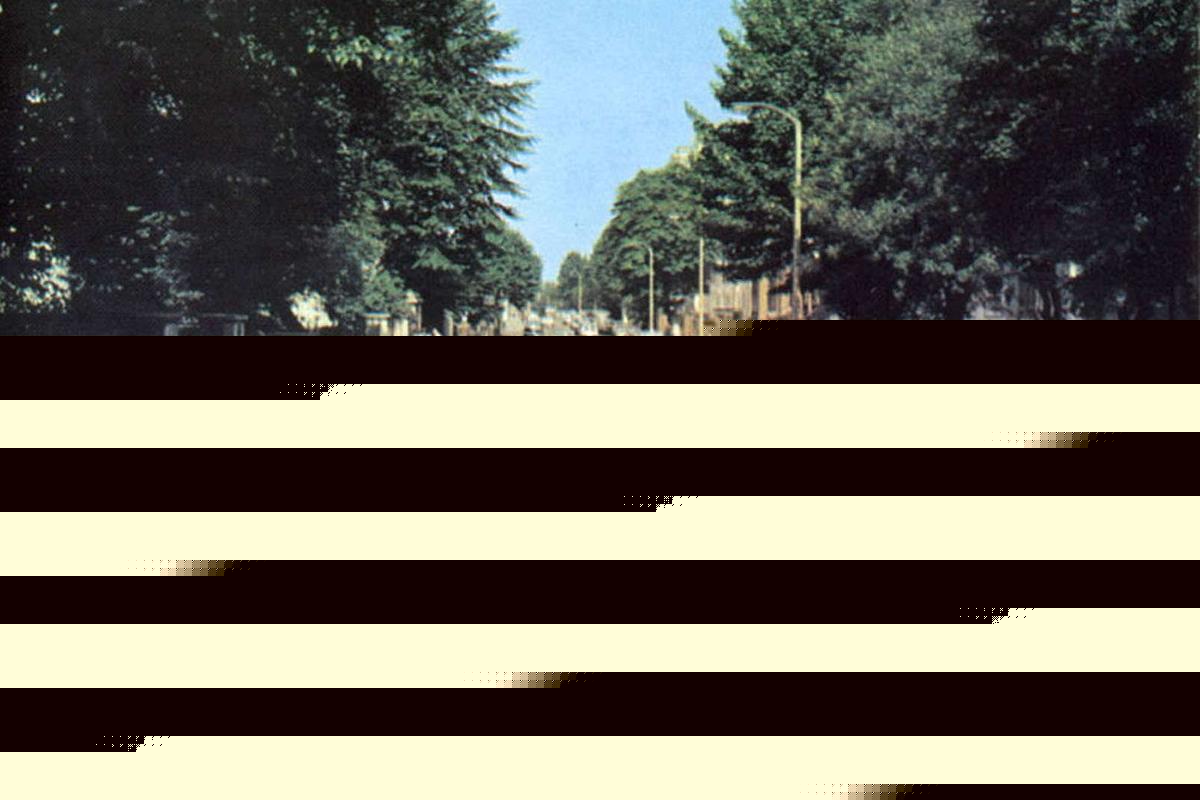 Ce 8 août où un photographe écossais immortalisa quatre Beatles traversant Abbey Road