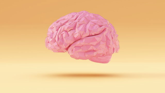 Obesity May Send Harmful Signals to the Brain, Raising Alzheimer’s Risk