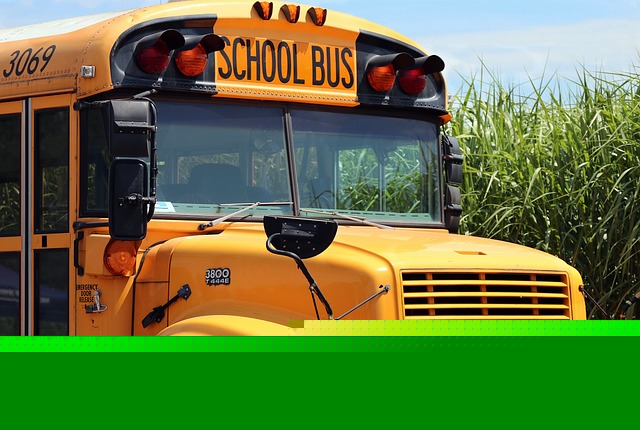 Comment on More than 6,000 stop-arm citations issued in last school year by William Robinson