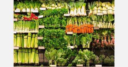 Ukraine to fund US$4.9 million vegetable storehouses