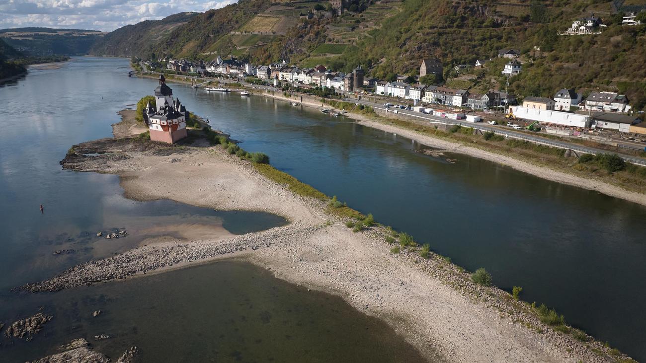 Niedrigwasser: Binnenschifffahrt warnt vor Zweiteilung des Rheins