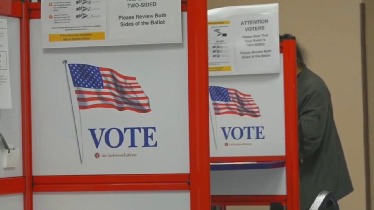Michigan Secretary of State addresses voter fraud claims
