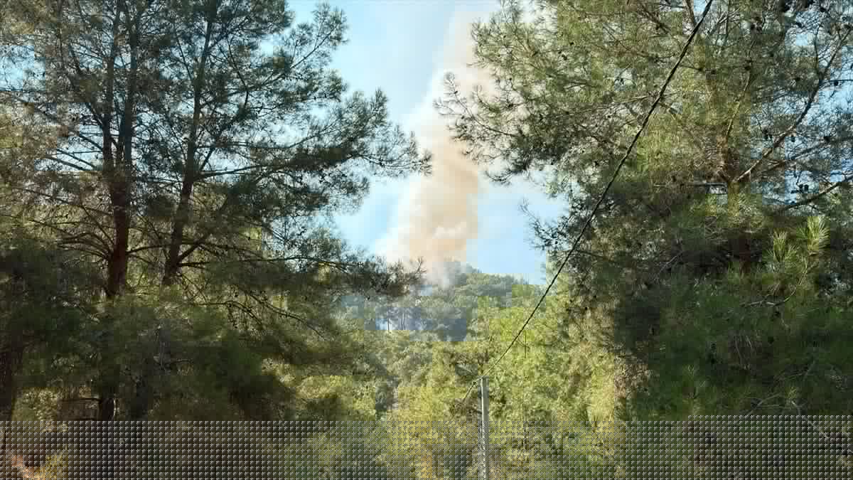 Alanya'da Orman Yangınına Müdahale Sürüyor