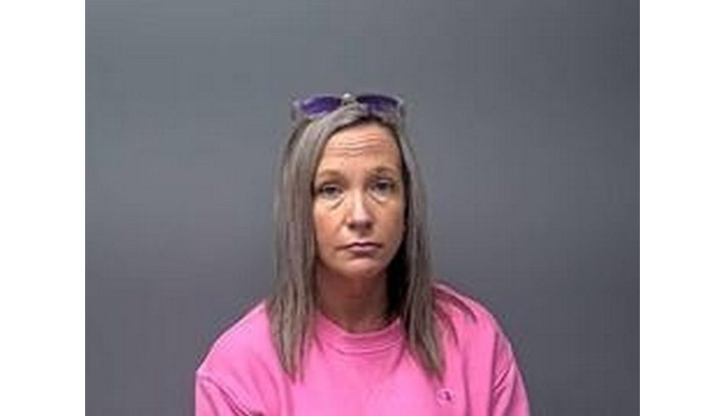 Skip scanner pleads guilty to theft charges
