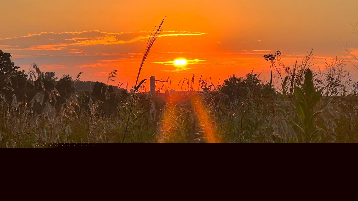 Iowa Prairie Trail Leads to Hidden-Gem Pond and Sunflower Plot