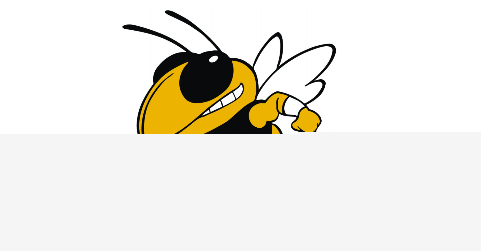 Yellowjackets battle rough waters at Rocori Invitational