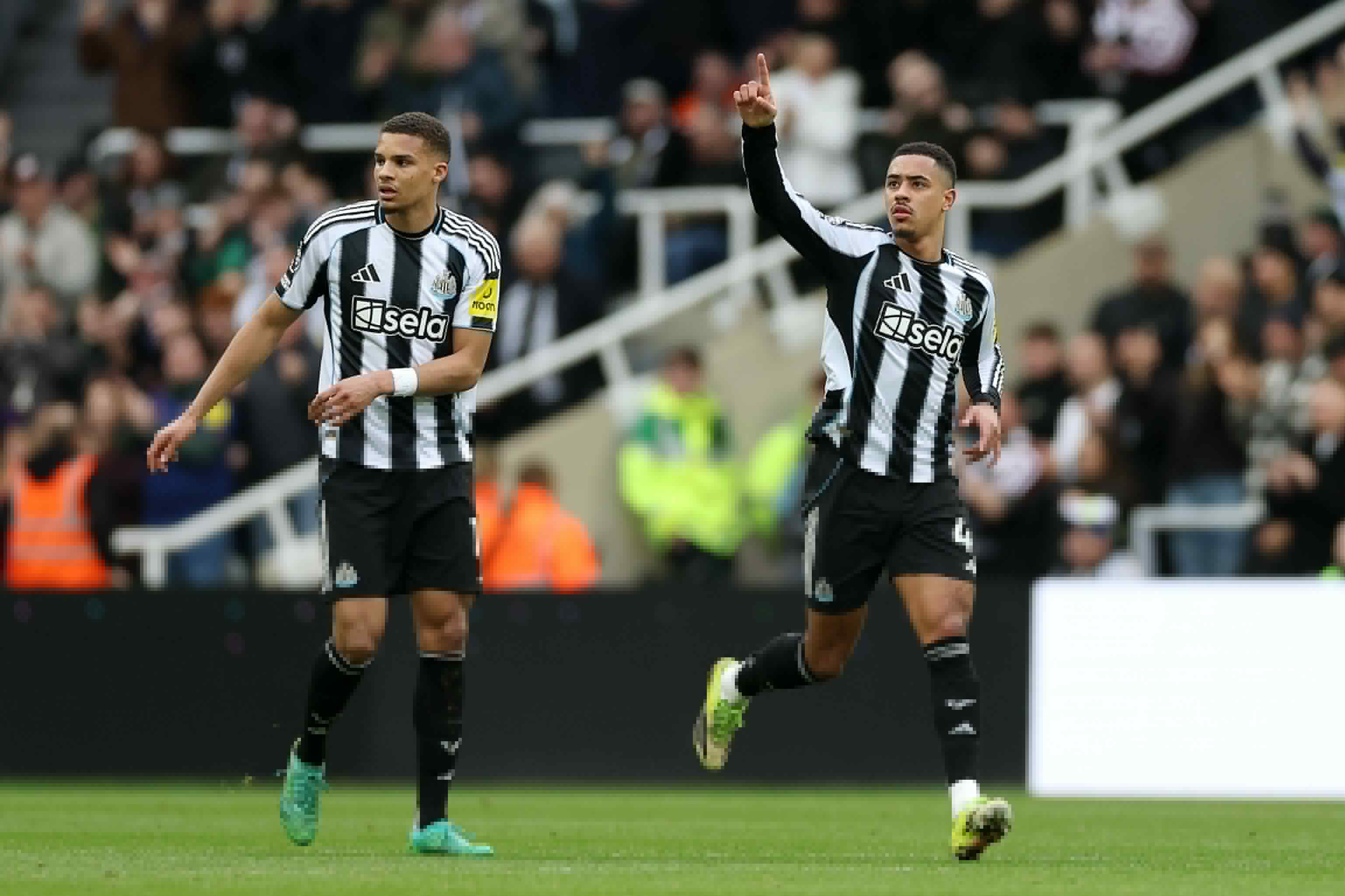 How to Watch Everton vs Newcastle United Live Today: Preview, Lineup and Team News