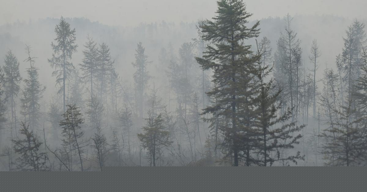Na Braču izbruhnil gozdni požar