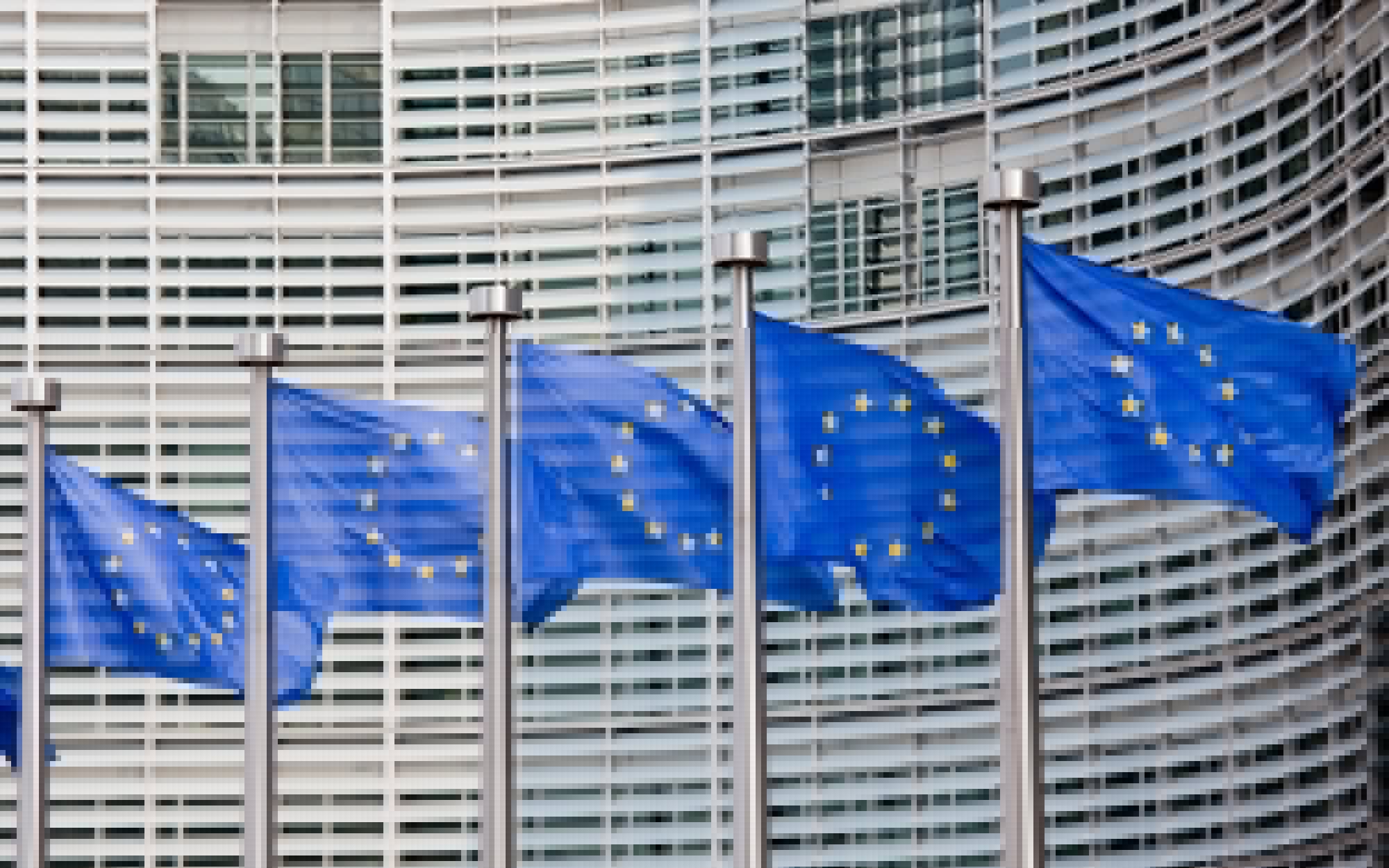 Islandia i Czarnogóra razem w UE. Komisarz wskazuje możliwy termin