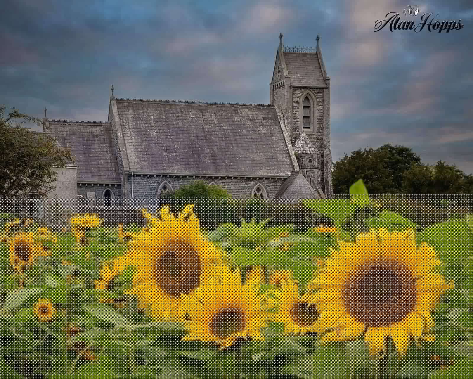 600,000 radiant reasons to visit Ballymoyer as Sunflower Festival returns in aid of local charities